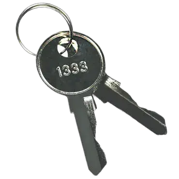 Slika KEY-1333