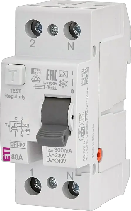 Slika EFI-P2 A 80/0.3