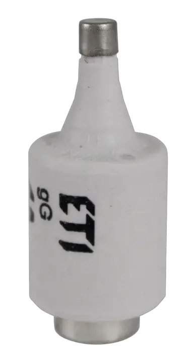Slika DII gG 4A/500V