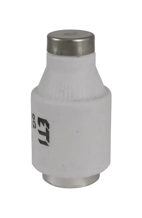 Slika DIII gG 35A/500V