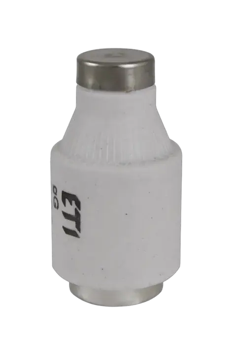 Slika DIII gG 50A/500V