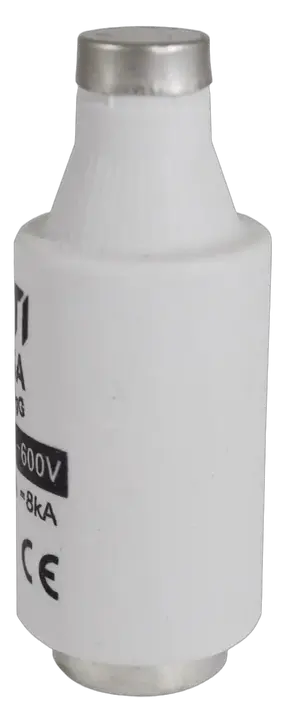 Slika DIII gG 50A/690V