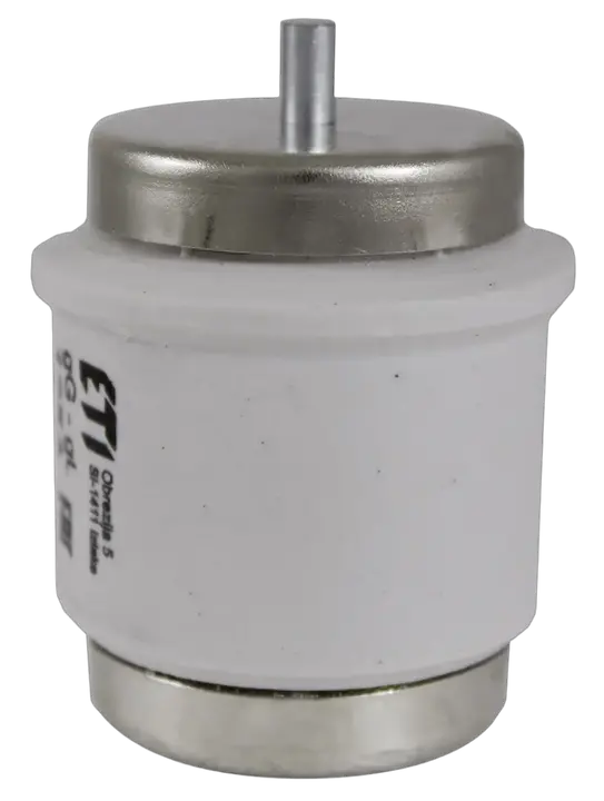 Slika DV DZ 160A/500V