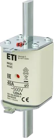 NH2C gG 40A/500V