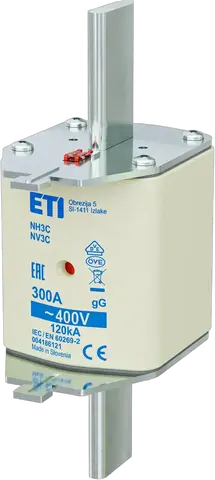 NH3C gG 300A/400V