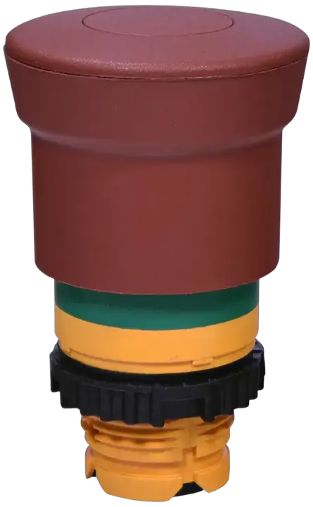 Slika NSE-PBM-P-RG
