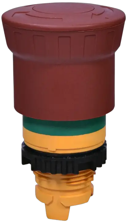 Slika NSE-PBM-T-RGM
