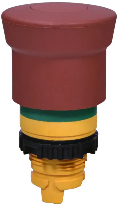 Slika NSE-PBM-P-RGM