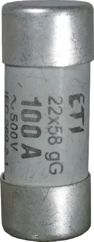 Slika CH22x58/P aM 63A/690V